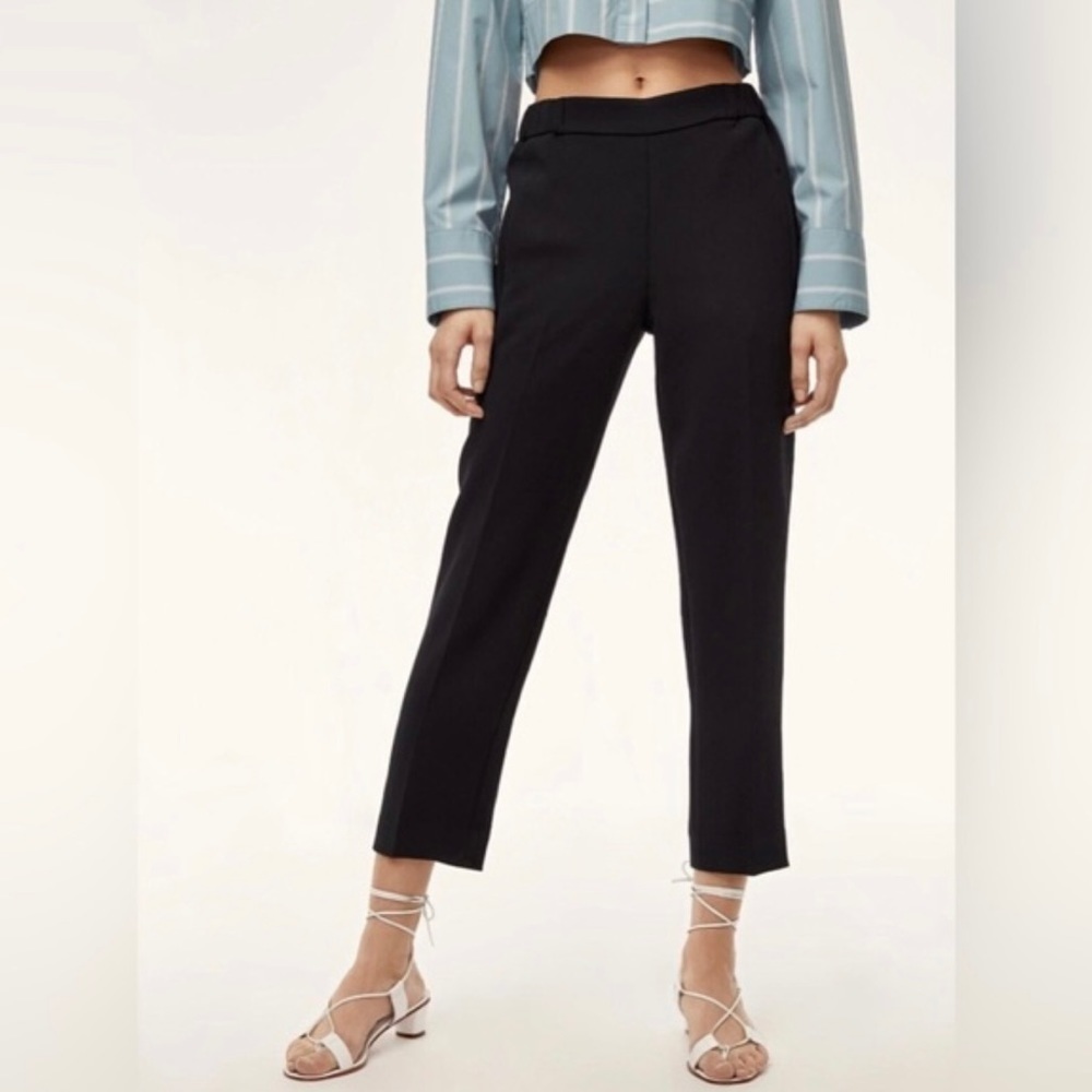 Aritzia Wilfred - Darontal Pant